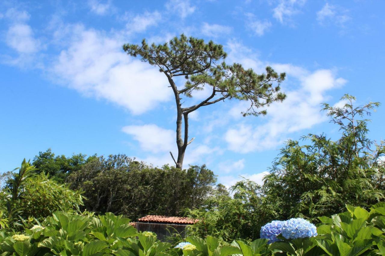 Quinta Do Torreao Villa Capelas Ngoại thất bức ảnh